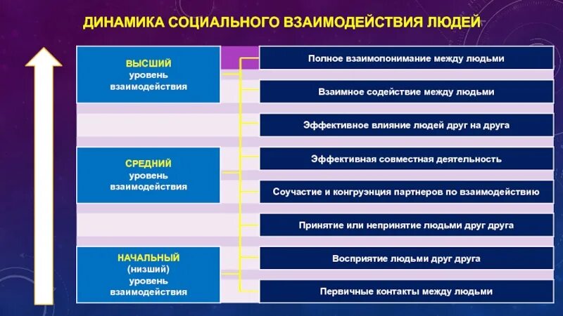 Динамика социального взаимодействия