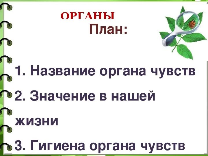 Органы чувств текст. Органы чувств. Презентация по окружающему миру 3 класс органы чувств. Презентация по окружающему миру 3 класс. План органы чувств.