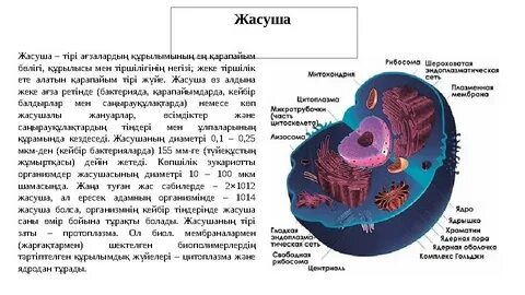 Бір қыздың үшеуі бар орыс порно видеоларын қараңыз.