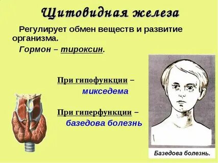 Недостаток выработки тироксина вызывает