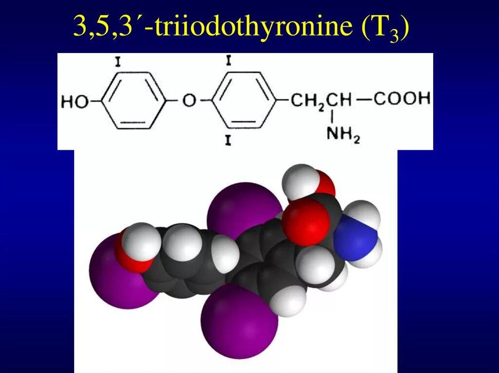 Трийодтиронин. Трийодтиронин препараты. Трийодтиронин формула. Трийодтиронин химическая формула.