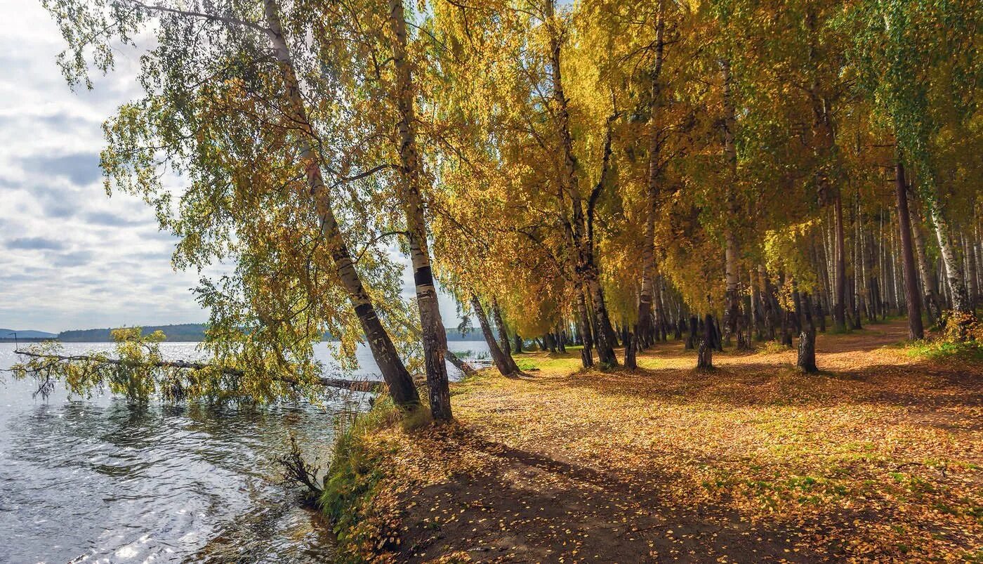 Озеро солнечный берег. Берег озера Сенеж Солнечногорск. Озеро Сенеж Солнечногорск. Озеро Сенеж осенью. Набережная озера Сенеж Солнечногорск.