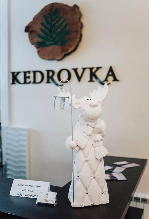 Спа отель кедровка. Отель кедровка новокузнецк. Kedrovka spa новокузнецк. Кедровка spa город новокузнецк. Кедровка спа.
