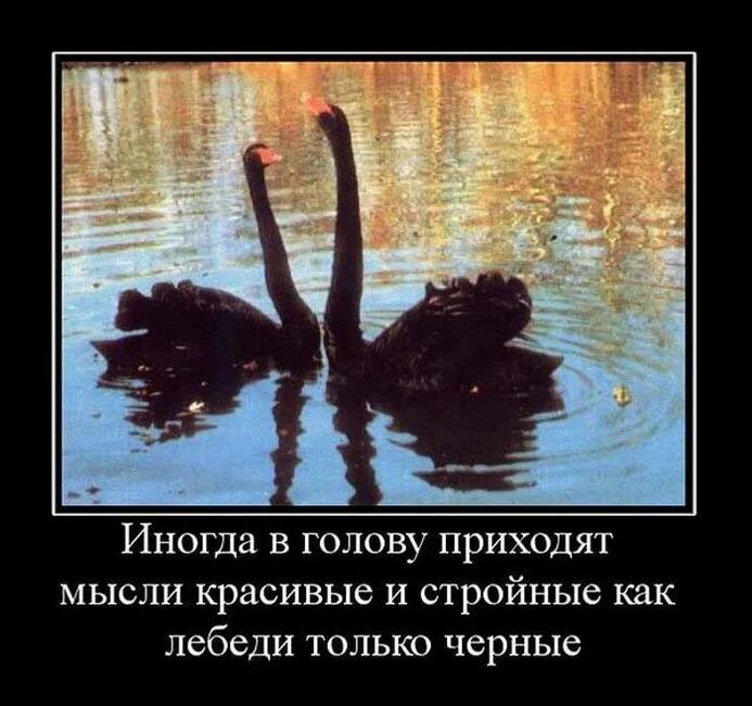 Гта мемы. Игрушки у которых откручиваются головы. Откручивание головы. Иногда в голову приходят интересные. Иногда в голову приходят интересные вещи.