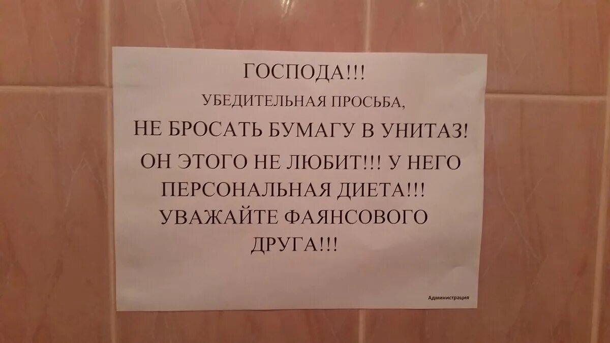 Кидай запрос. Табличка в туалет не бросать. Объявления в туалете о туалетной бумаге. Табличка унитаз. Смешные надписи в туалете.