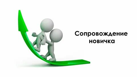 Обучение новичков