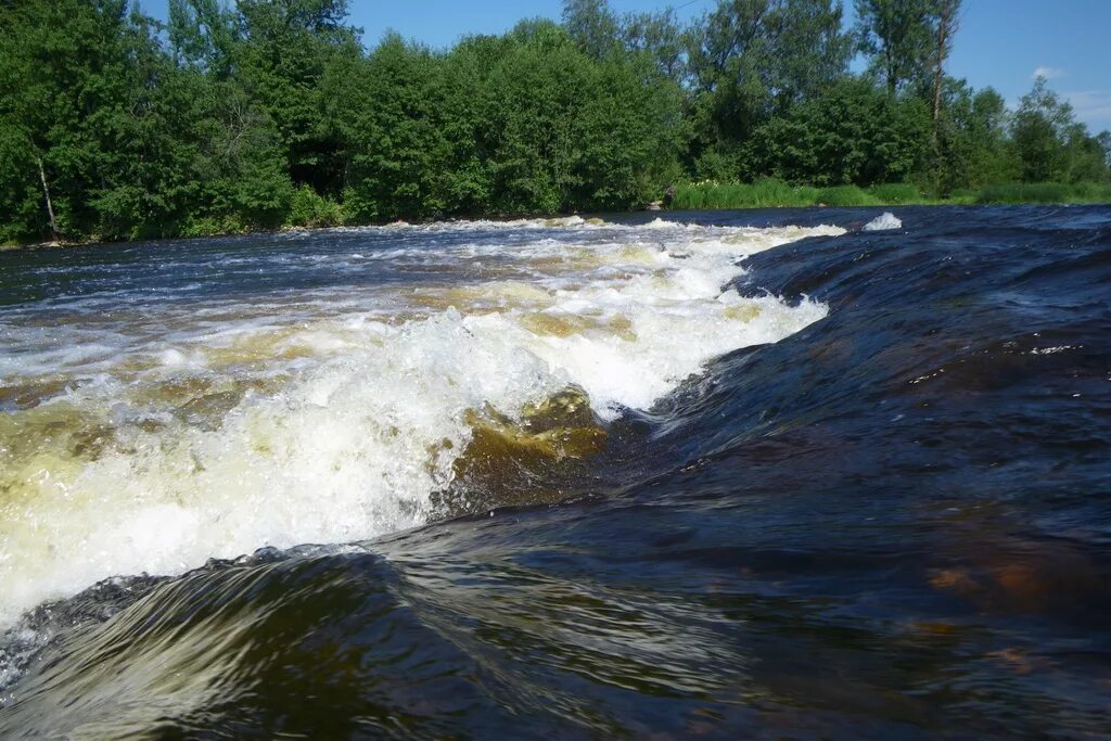 Река мста новгородская область