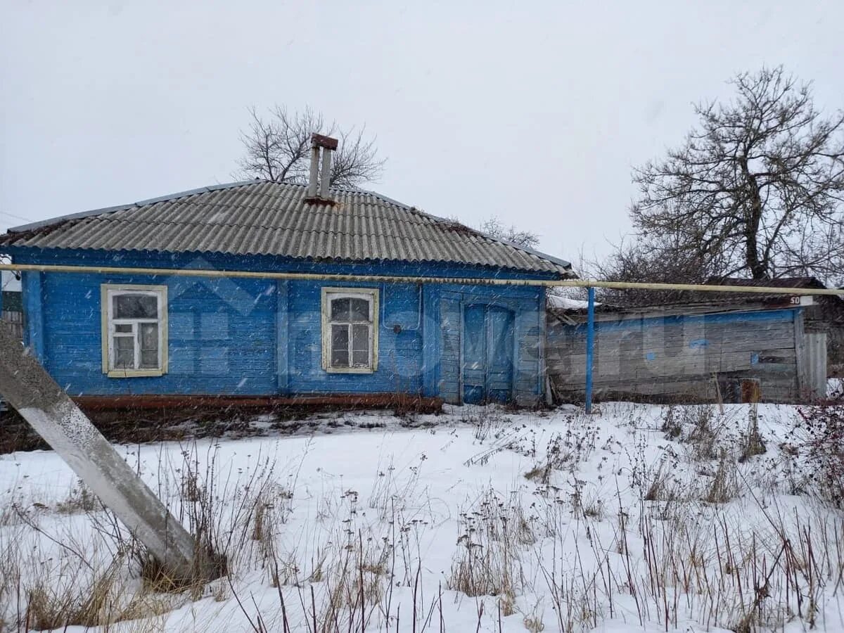 Поселок тим. Поселок тим курская область. поселок тим курская область центр. рп тим тимский район. камыши тимского района.