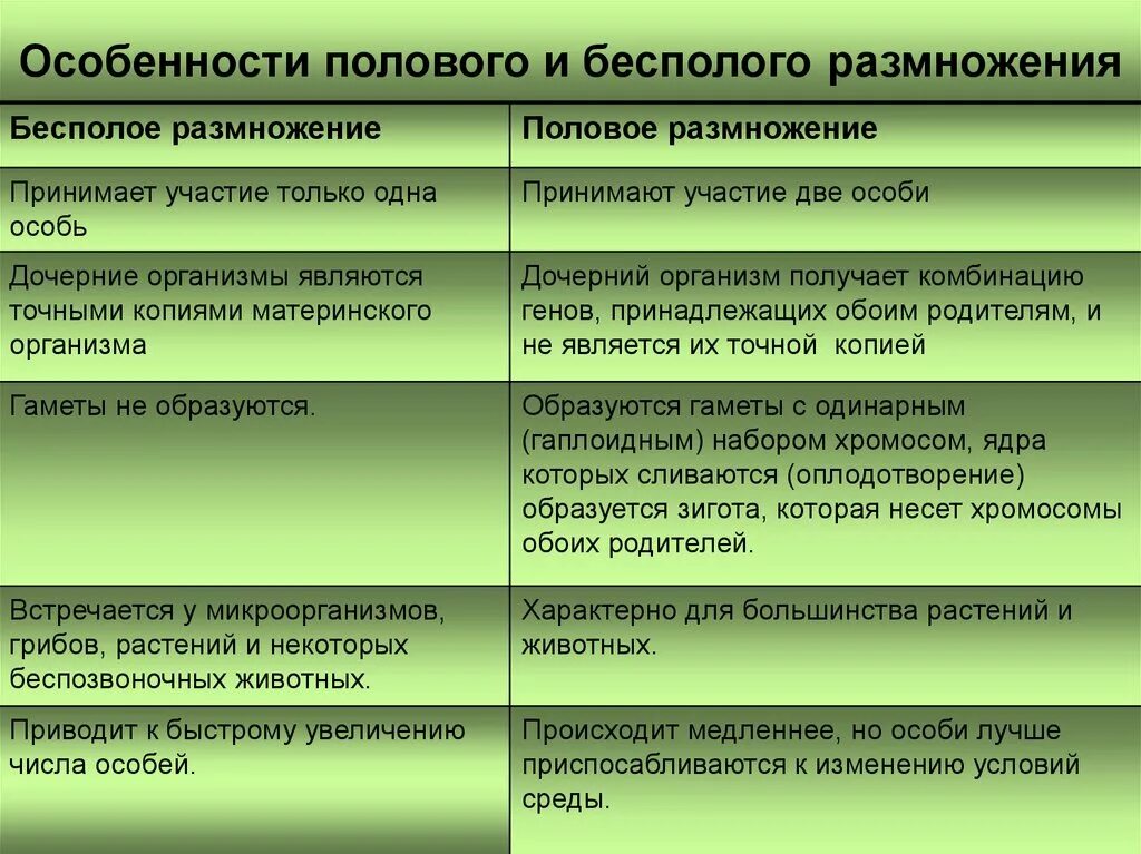 Отличия бесполого размножения. Особенности полового и бесполого размножения. Основные характеристики полового размножения. Тип бесполового размножения. Характеристики бесполого размножения.