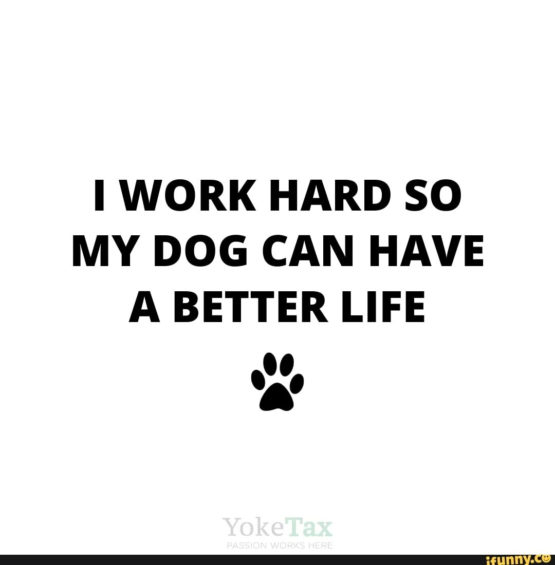 I work hard. Work so hard. Гифки ворк Хард. I work hard so my Dog can have a better Life. Life i hard