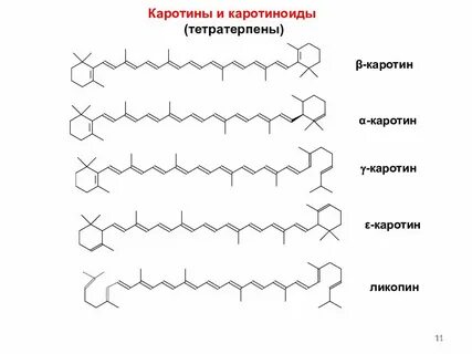 Выделение каротиноидов метод