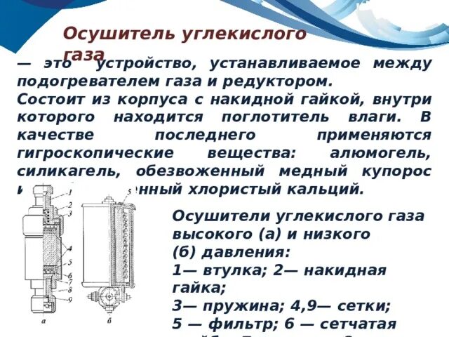 круговорот азота и углерода биология. углекислый газ поступает. Co2 углекислый газ. процесс фотосинтеза в листьях. как углекислый газ поступает в листья.