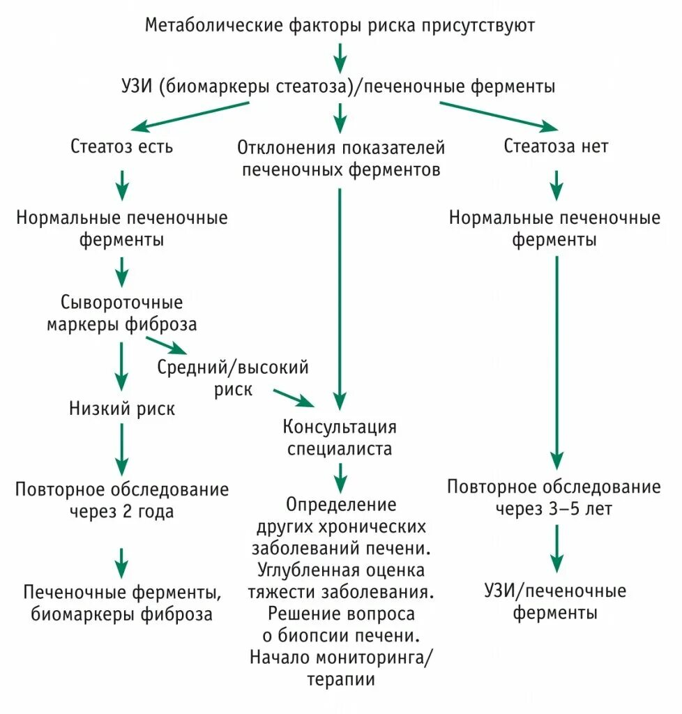 Анализ больной печени. Жировой гепатоз патогенез. Гепатоз печени патогенез. Схема лечения жировой печени. Жировая дистрофия печени патогенез.