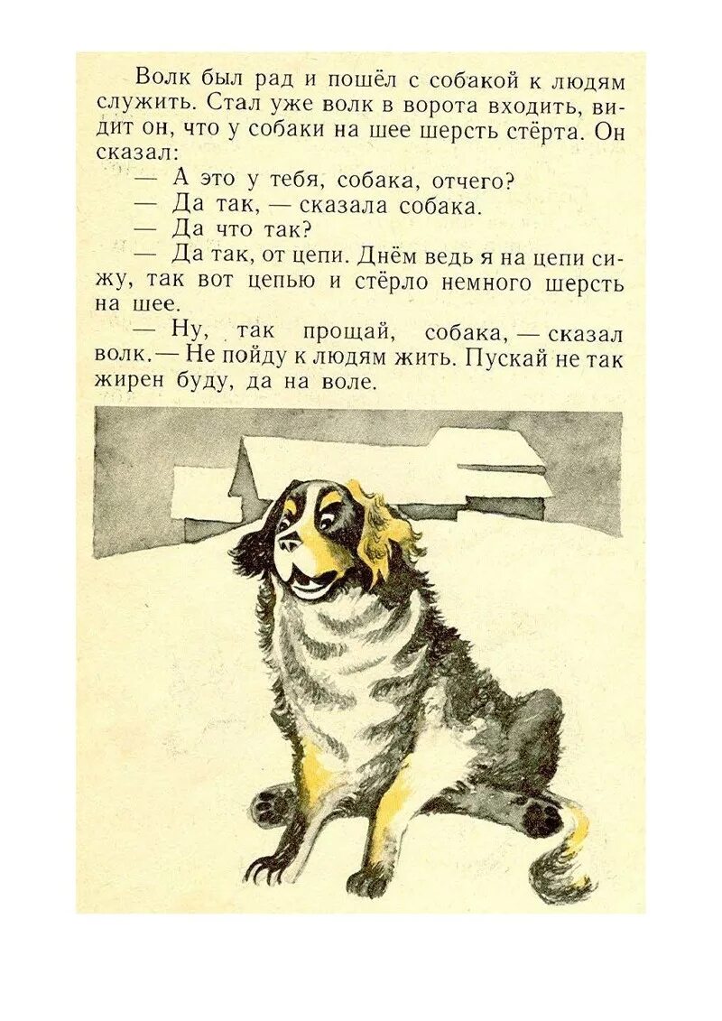 Басни толстого какие. Басни Льва Толстого волк и собака. Басни Толстого Льва Николаевича 4. Басни Льва Николаевича Толстого 3 класс. Басни Льва Николаевича Толстого 4 класс.