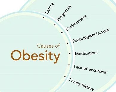 Main factors. Causes of obesity. Obesity Factors. Causes of obesity Bar Chart.