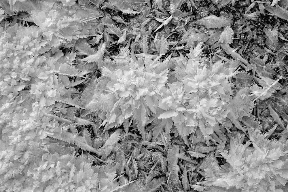 Осень первые заморозки. Морозцем 1. Морозцем 1. Морозцем 1. С крепким морозцем.