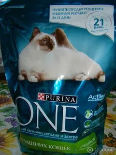 Purina one 3