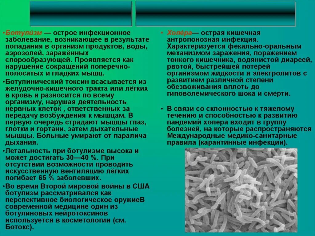 Кишечные инфекции ботулизм. Острые желудочно-кишечные заболевания. Инфекционные заболевания кишечника. Ботулизм инфекционные болезни. Ботулизм сальмонеллез