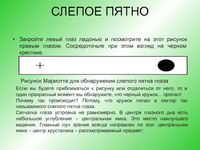 Опыт Мариотта слепое пятно. Определение слепого пятна. Выявление слепого пятна опыт Мариотта. Определение слепого пятна работа. Левый глаз темнее правого