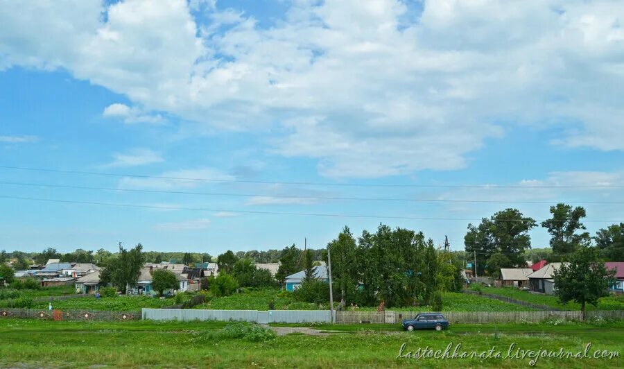 Курья Алтайский край. Деревня Курья Алтайский край. Курья (Курьинский район). Краснощековский район Алтайский край Курья. Г курья