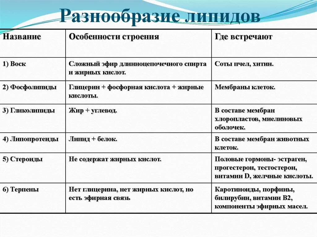 Липиды выполняющие строительную функцию. Функции липидов с примерами. Липиды характеристика и функции. Таблица по функциям липидов.