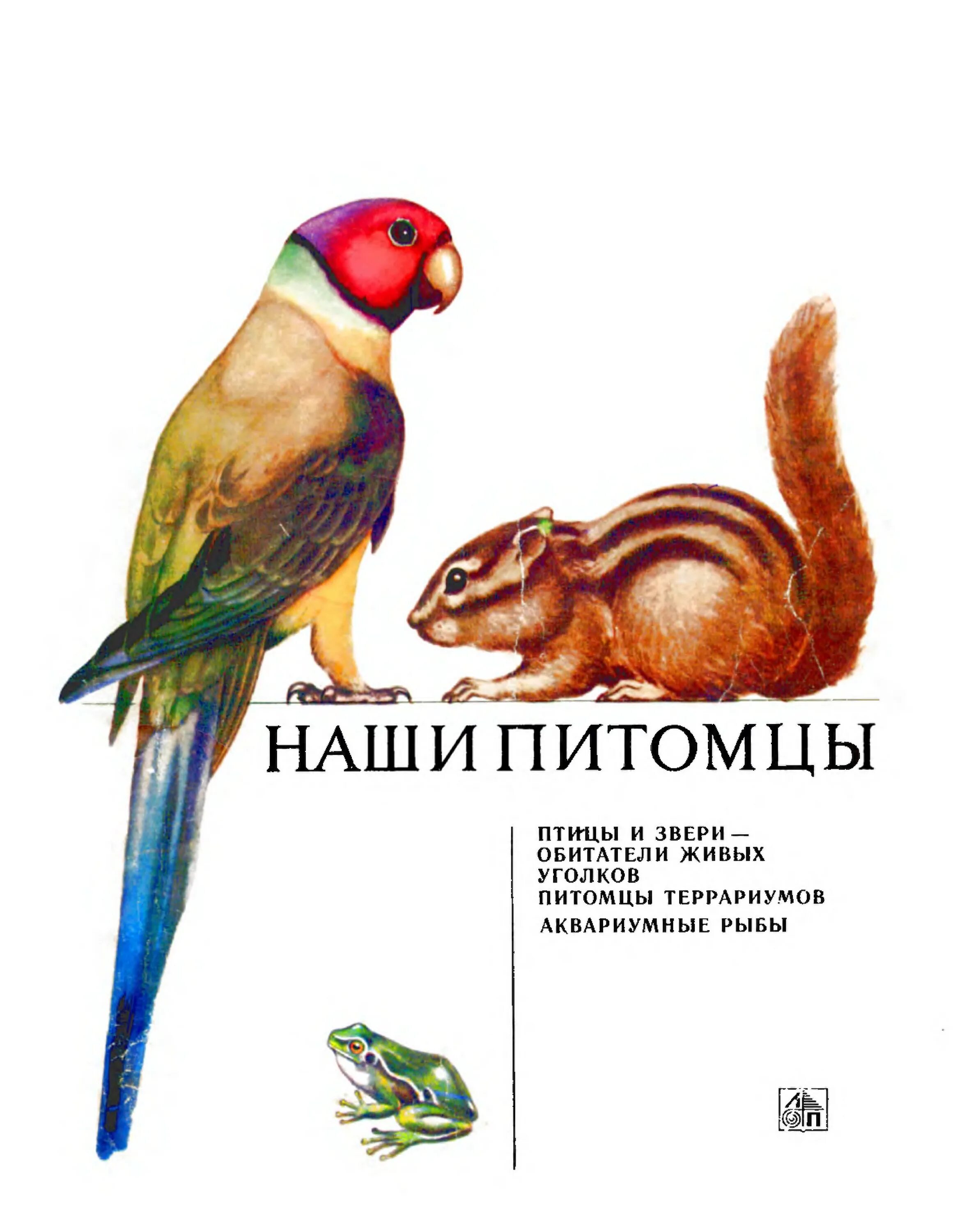 Наши питомцы. Альбом наши питомцы. Наши питомцы книга. Наши питомцы надпись. 1 наши питомцы несмотря