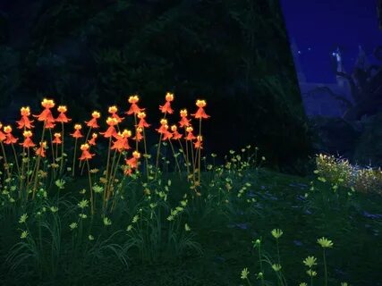 Plant night