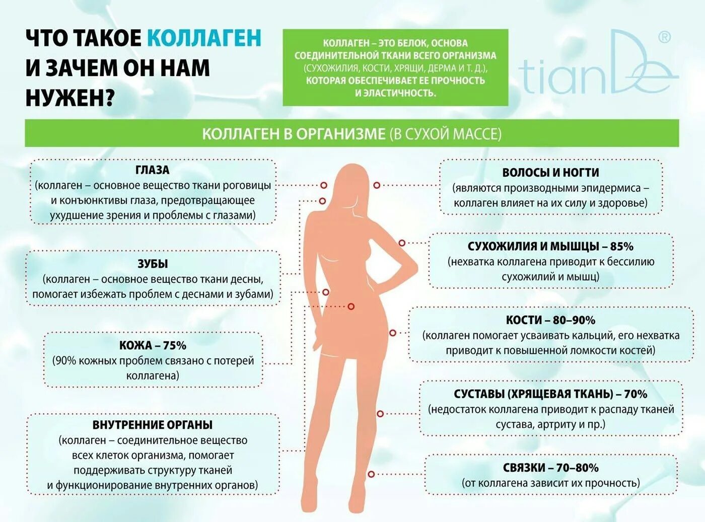 Первый живой коллаген. Первый живой коллаген франшиза. Первый живой коллаген халяль. Живой коллаген польза. Первый живой коллаген малина.