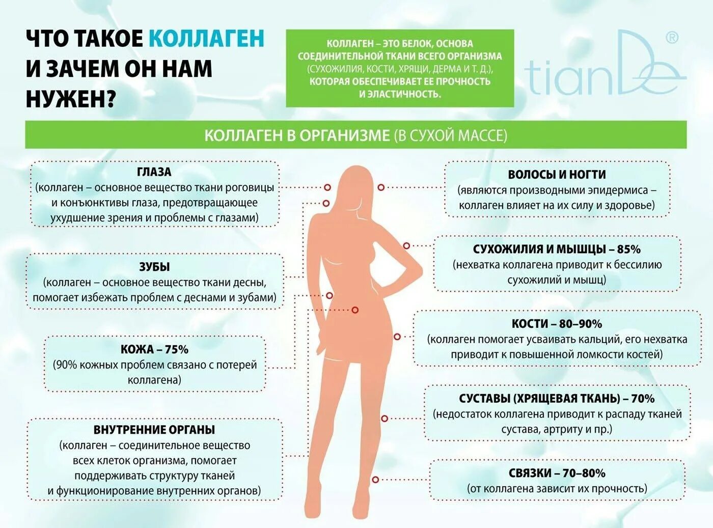 Почему надо пить коллаген. Коллаген для чего нужен организму. Чем полезен коллаген. Выработка коллагена в организме. Коллаген польза.