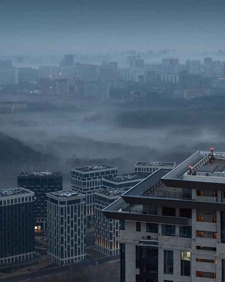 Туман 2023 отзывы. Туман. Москва Таинственная.