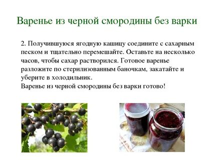 Как сделать смородину без сахара