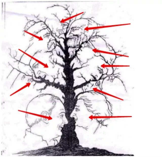 Тест альцгеймера сколько лиц на картинке. Дерево с лицами головоломка. Картинки сколько лиц на картинке. Сколько лиц на дереве. Дерево с лицами тест.