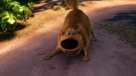 Dug t