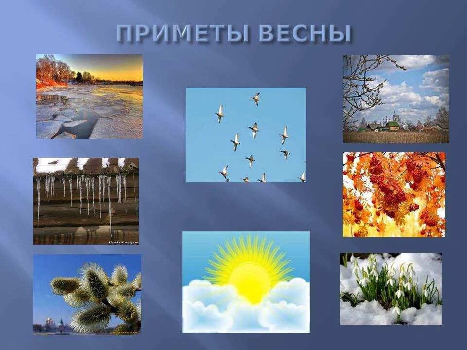 Весенние явления природы для дошкольников.