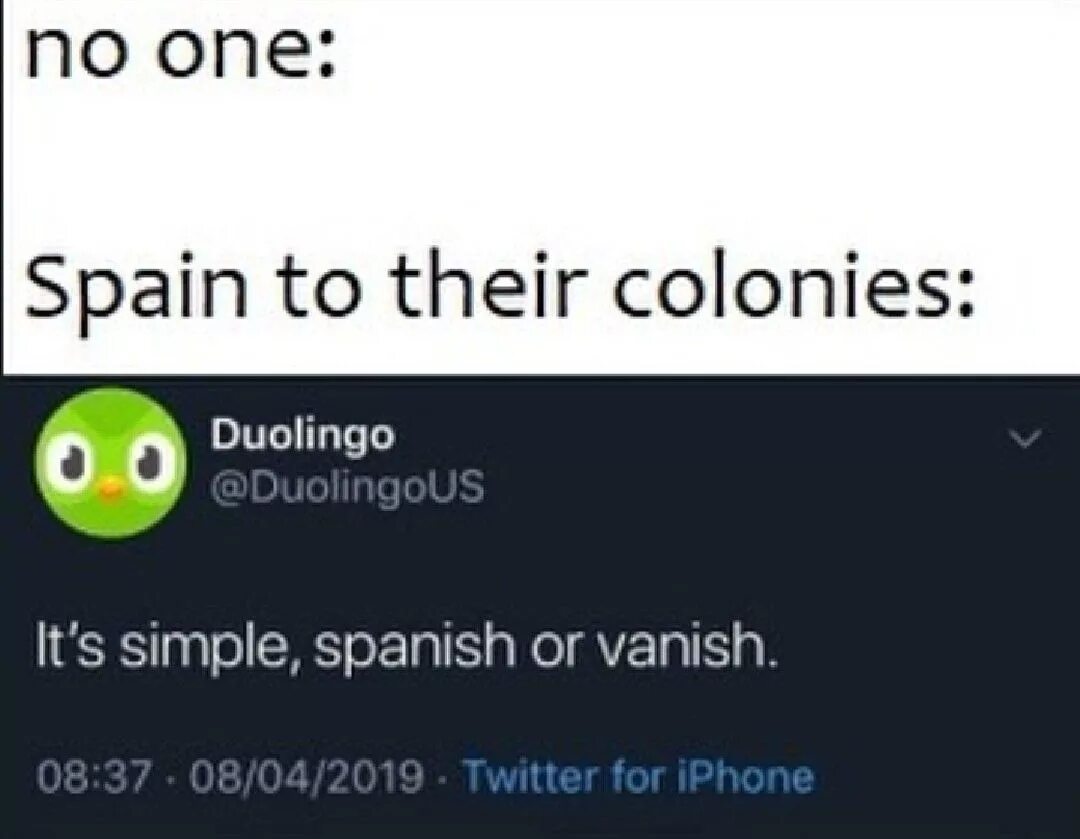 Spanish or vanish meme. Spanish or vanish meme. Урок английского мем. Испанские мемы. Duolingo spanish or vanish meme.
