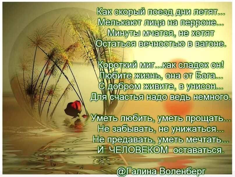 Песня ну за что мы ценим жизнь. Стихи о времени и любви. Стихи про нашу жизнь. Как быстро годы пролетели стихи. Жизнь пролетает стихи.