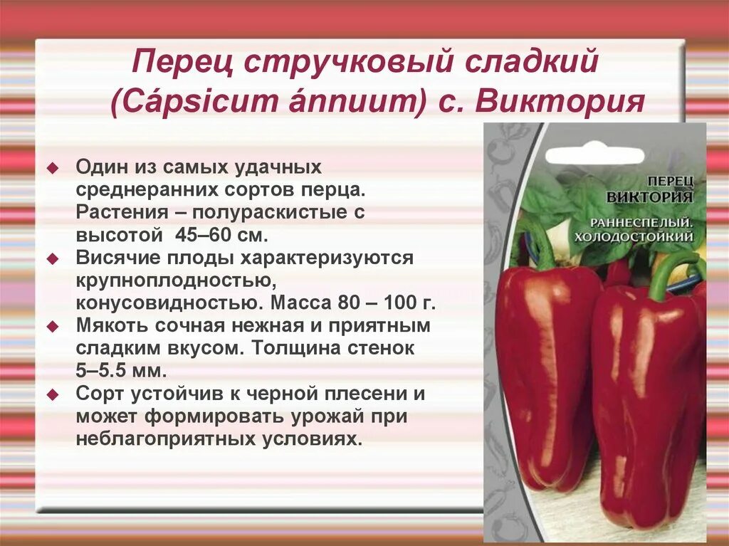 Перец какие витамины содержит. Перец стручковый сладкий. сладкие сорта стручкового перца. характеристика перца. сладкий перец описание растения.