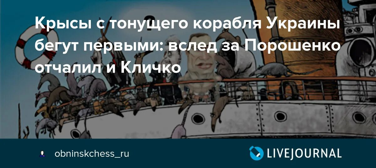 Крысы с тонущего корабля. С тонущего корабля первыми бегут крысы. Крысы бегут с корабля Украина. Крысы бегут с корабля фото.