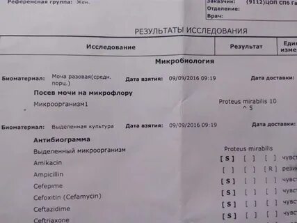Что такое посев мочи при беременности
