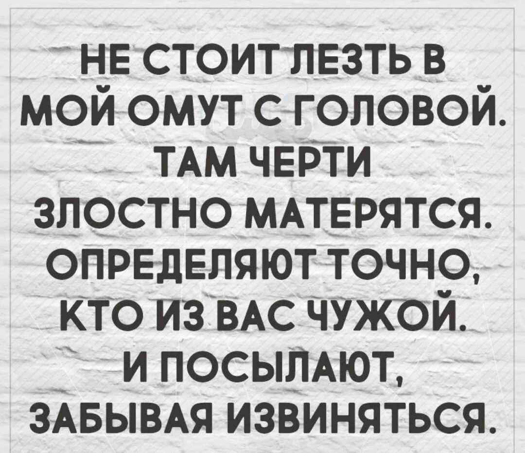 Высказывания про чертей. Статус про чертей. Цитаты про чертей в тихом омуте. В омут с головой цитаты.