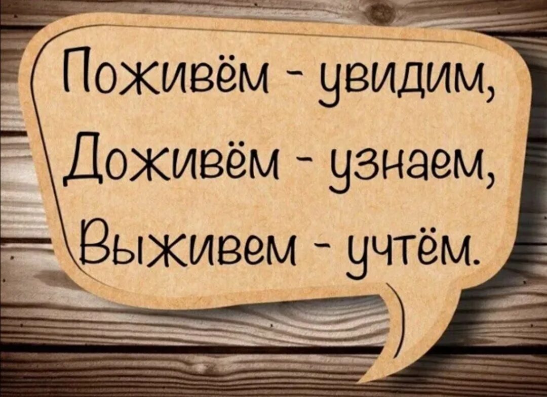 Поживем увидим. Поживём увидим Доживём узнаем выживем. Доживу увижу выживу учту. Поживём увидим выживем учтём.