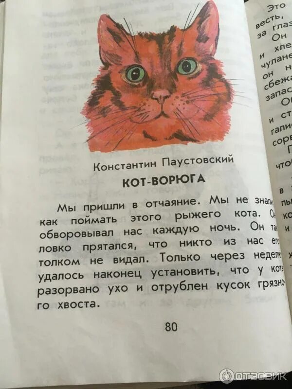 Отзыв о Книга "Кот-ворюга" К. Паустовский Отличный и легкий рассказ.