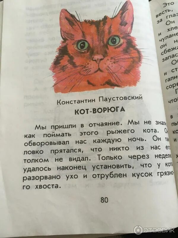 Рассказ Константина Паустовского кот. Кот ворюга рассказ Константина Паустовского. Книга кот ворюга Паустовский. Кот-ворюга Паустовский текст. Полный рассказ кот ворюга