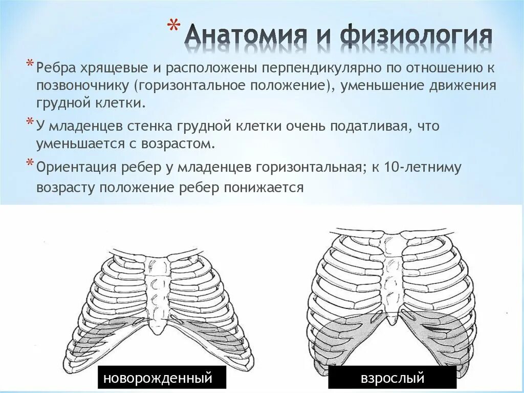 Грудная клетка ребенка 2 года. Форма грудной клетки у детей. Ребра у младенцев расположены. Рахитичная форма грудной клетки. Формирование грудной клетки у ребенка.