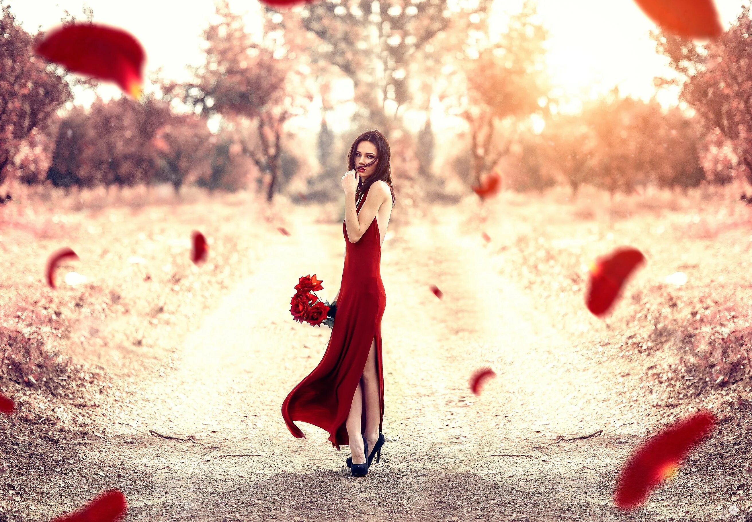 Каждая женщина это цветок. Алессандро ди Чикко. Фотосессия в Красном платье. Девушка в Красном платье идет. Девушка идет в красивом платье.