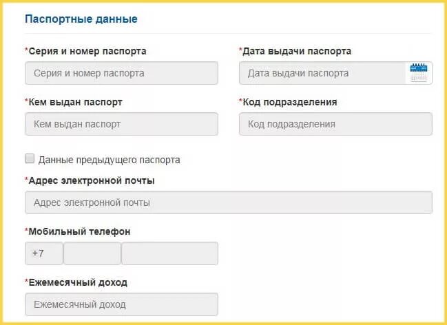 Паспортные данные. Паспортные данные в банк. Ввести паспортные данные. Покупка на озоне паспортные данные
