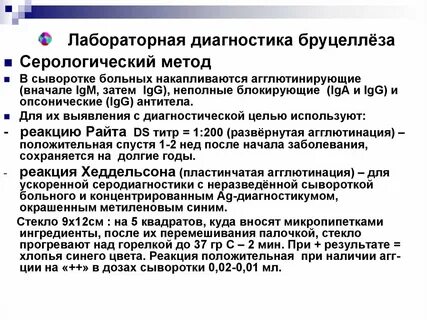 Лабораторная диагностика бруцеллеза животных
