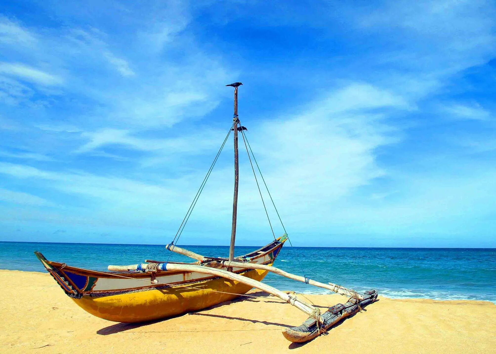 Негомбо Бич. Негомбо Шри Ланка. Пляж Негомбо Шри. Пляж Negombo Beach. Шри 5 букв