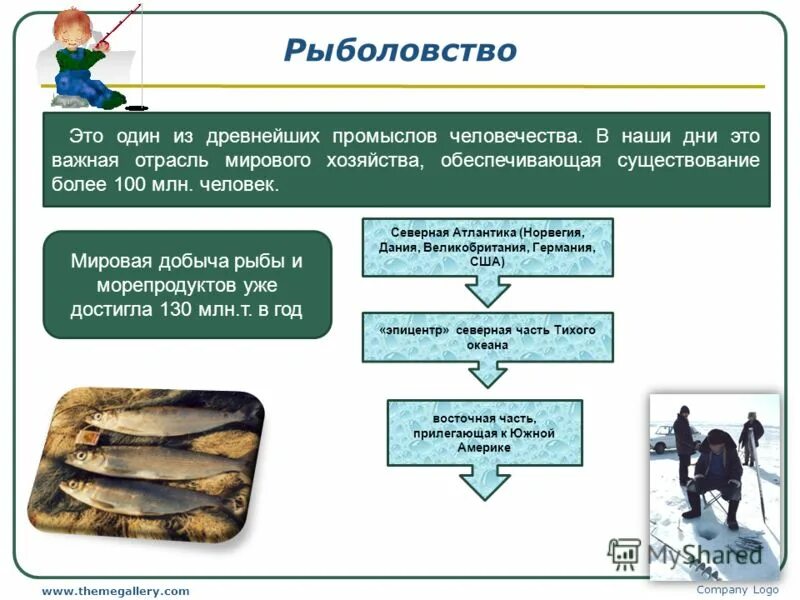 пенжинская рыболовецкая артель. значение рыболовства в мировом хозяйстве. мировое хозяйство рыболовство. рыболовство география презентация. рыболовля в исландии.