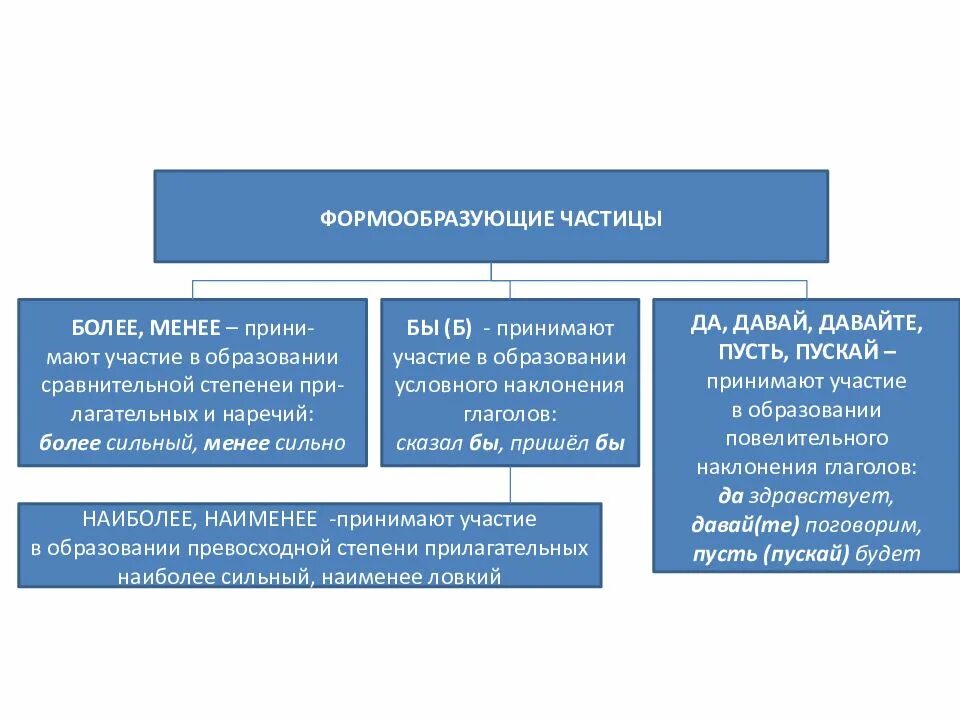 Формообразующие частицы. Более формообразующая частица. Форма образовательные частицы. Формообразующие частицы примеры.